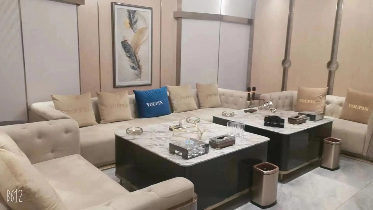 周口商务ktv总排行-沈丘县ktv预订